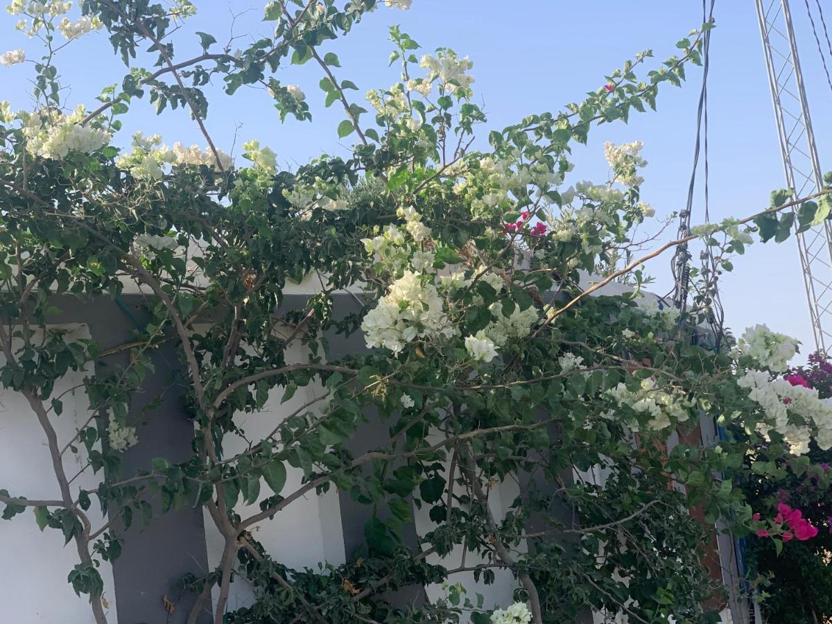 Apartment Olivia, Yasmine Hammamet, Bouficha
