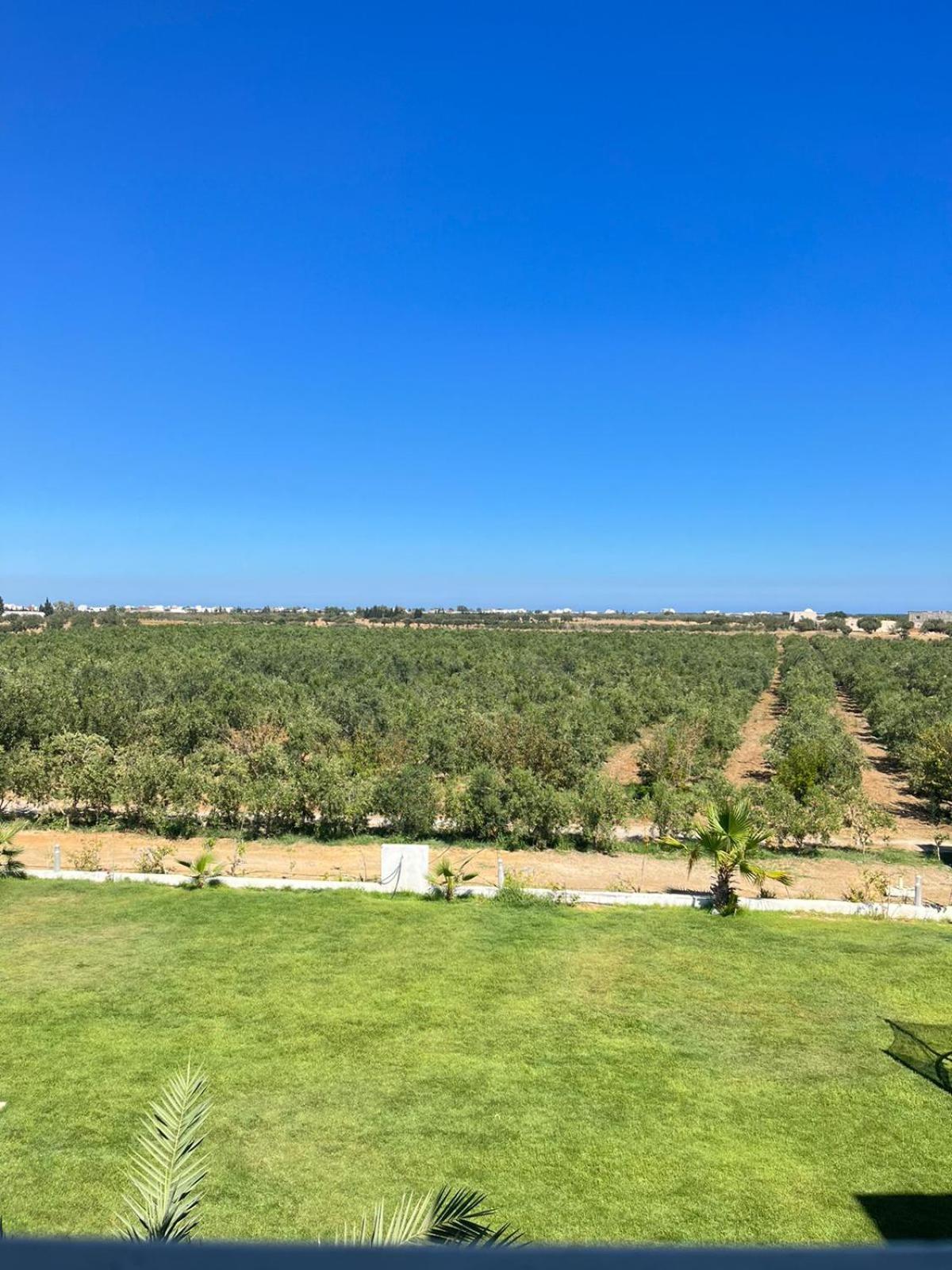 Apartment Olivia, Yasmine Hammamet, Bouficha *